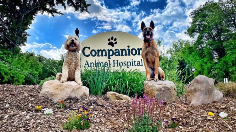 Companion Animal Hospital of Fountain City, Kentucky, Knoxville